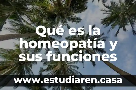 Qué es la cecude y funciones 3 Qué es la homeopatía y sus funciones