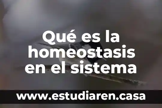 Qué es la homeostasis en el sistema