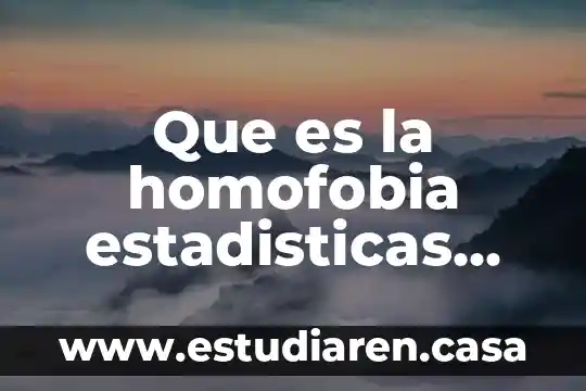 Que es estadisticas de accidentes de tránsito 7 Que es la homofobia estadisticas 2017