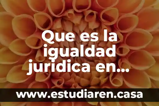 Que es la igualdad juridica en mexico