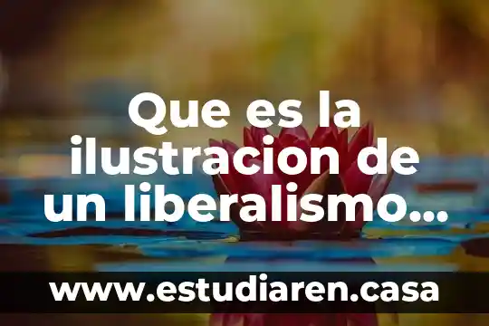 Que es un caracter politico 3 Que es la ilustracion de un liberalismo politico