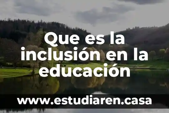 Que es la inclusion financiera segun autores 5 Que es la inclusión en la educación