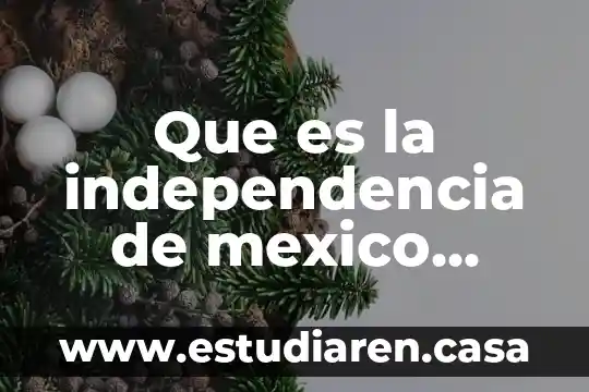 Que es la independencia de mexico todos los que paeticiparon