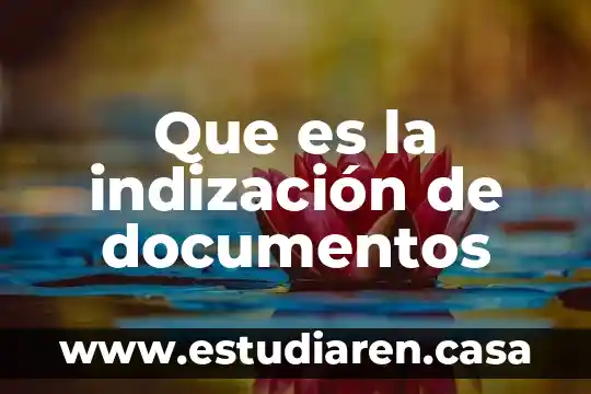Que es la indización de documentos