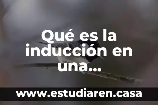 Que es roma y su organización política 6 Qué es la inducción en una organización