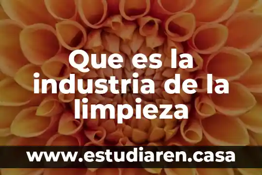 Que es un blockbuster en la industria del cine 3 Que es la industria de la limpieza