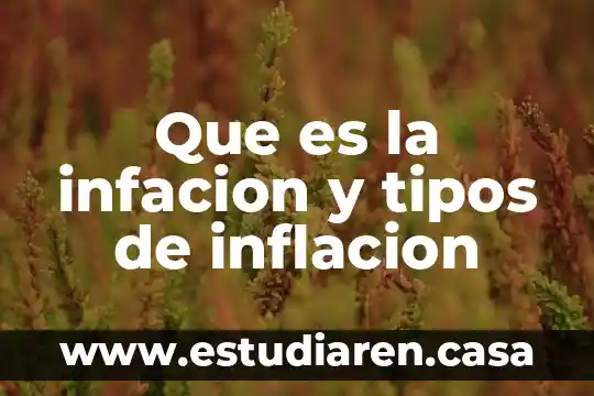 Que es la infacion y tipos de inflacion