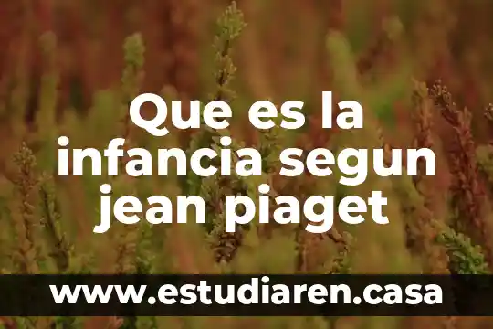 Qué es infancia común 6 Que es la infancia segun jean piaget