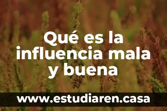 Que es influencia normativa en psicologia 3 Qué es la influencia mala y buena
