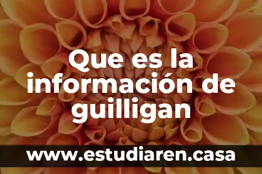 Que es transformacion de sociedad 6 Que es la información de guilligan