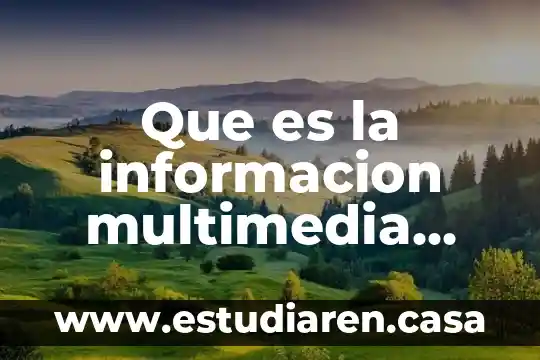 Que es la informacion multimedia empresarial