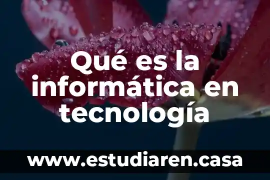 Que es un sofisticado en tecnologia 8 Qué es la informática en tecnología