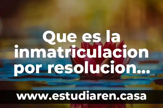 Que es la resolucion de problemas de la vida cotidiana 4 Que es la inmatriculacion por resolucion administrativa