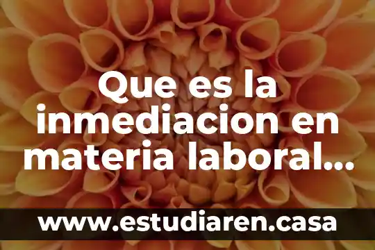 Que es mexico direct mail 6 Que es la inmediacion en materia laboral en mexico
