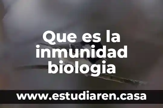 Que es reflexion en biologia 6 Que es la inmunidad biologia