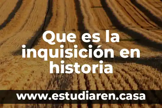 Qué es político-electorales 8 Que es la inquisición en historia
