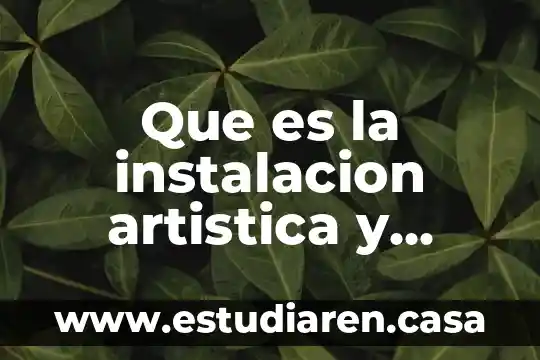 Que es la instalacion artistica y cuales son sus caracteristicas
