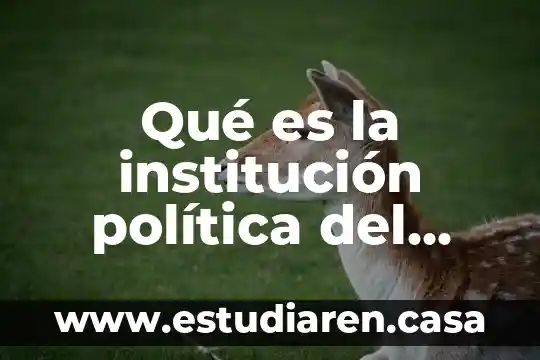 Qué es la institución política del estado mexicano