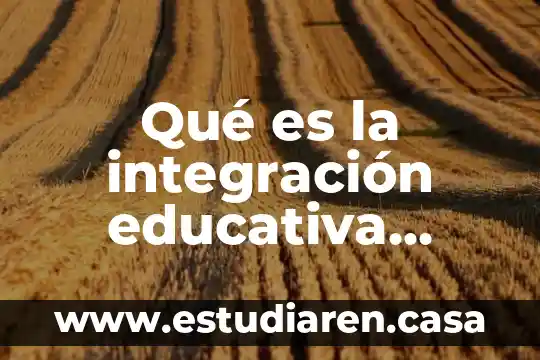 Qué es la integración educativa concepto