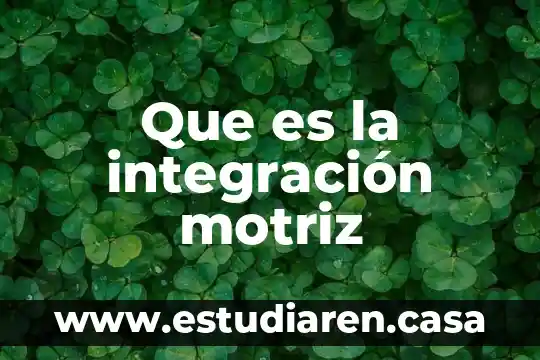 Integración total del proceso en la calidad que es 7 Que es la integración motriz