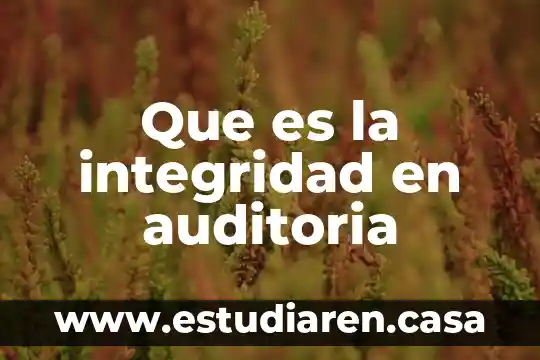 Integridad del estado que es 8 Que es la integridad en auditoria