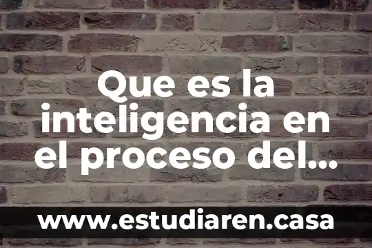 Que es la inteligencia en el proceso del pensamiento creativo
