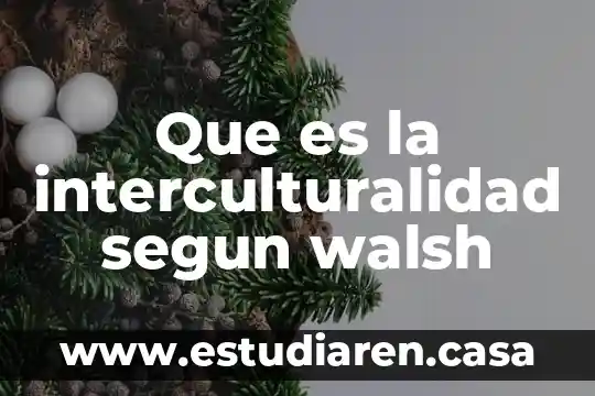 Que es interculturalidad de las comunidades y en instituciones gubernamentales 7 Que es la interculturalidad segun walsh