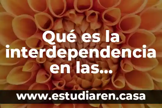 Que es canon de la conducci贸n de las relaciones internacionales 3 Qu茅 es la interdependencia en las relaciones internacionales