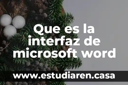 Que es un interfaz grafico en base de datos 7 Que es la interfaz de microsoft word