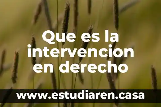 Que es un proyecto de intervencion concepto 6 Que es la intervencion en derecho