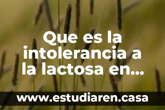 Por que es importanted que los niños comoscan su cominidad 7 Que es la intolerancia a la lactosa en niños