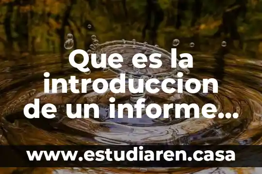 Que es un informe escrito en el metodo cientifico 6 Que es la introduccion de un informe de investigacion