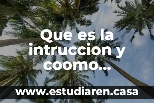 Que es la intruccion y coomo podemos plantearla