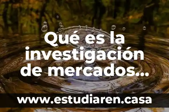 Que es un estudio preliminar en investigacion de mercados 8 Qué es la investigación de mercados cualitativos