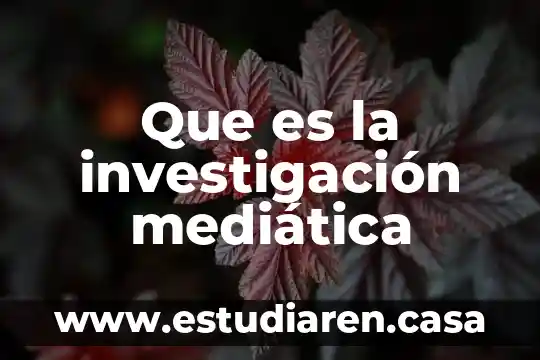 Investigación de que es la diversidad con nexos 8 Que es la investigación mediática