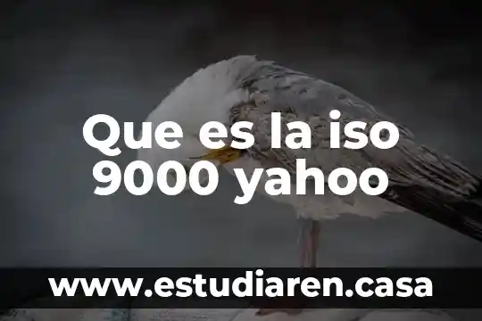 Qué es ISO para la gestión de calidad 3 Que es la iso 9000 yahoo