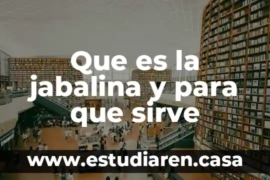 Que es y para que sirva la fisioterapia 3 Que es la jabalina y para que sirve