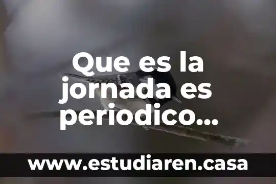 Que es la jornada es periodico revista cientifica