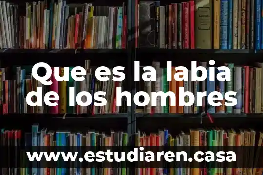 Que es camisa en hombres 8 Que es la labia de los hombres