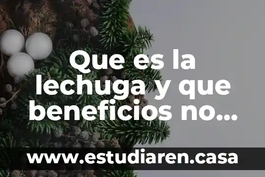 Que es la lechuga y que beneficios no otorga comer