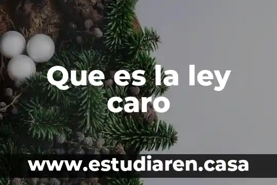 ¿Qué es más caro chilis o applebee's? 7 Que es la ley caro