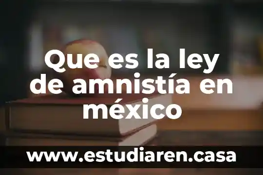 Que es amnistía general 4 Que es la ley de amnistía en méxico