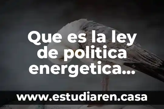 Que es la ley de politica energetica 2005