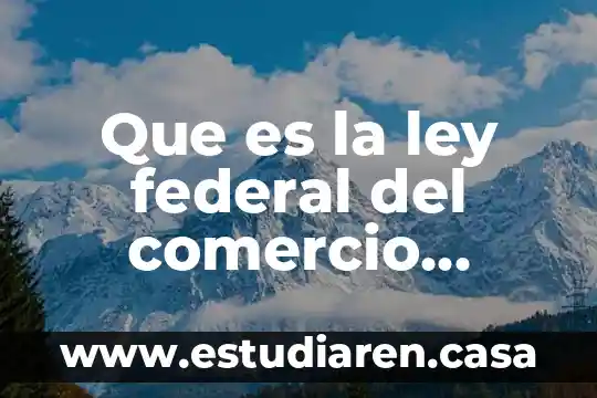 Que es la ley federal del comercio electronico