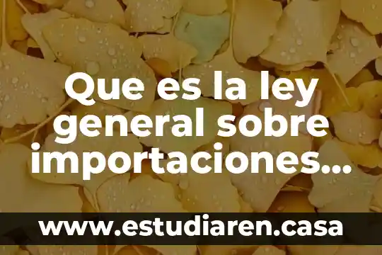 Que es la ley general sobre importaciones y exportaciones