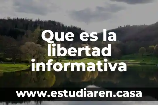 Que es la libertad informativa