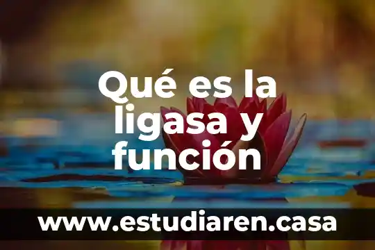 Qué es la ligasa y función
