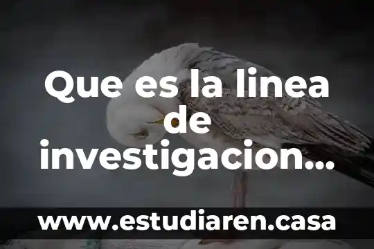 Que es linea de turbonada 8 Que es la linea de investigacion en un proyecto