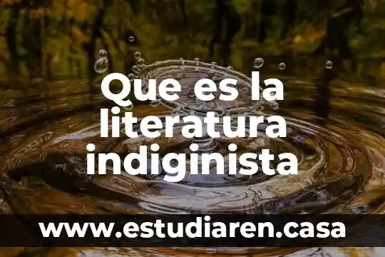 Que es la literatura para rae 6 Que es la literatura indiginista