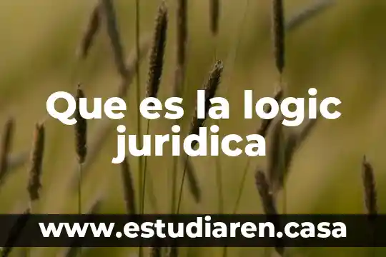 Que es relacion juridica unilateral 3 Que es la logic juridica